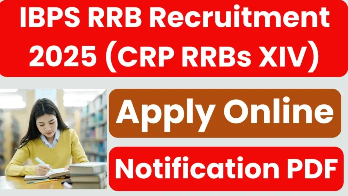 IBPS RRBs XIV Recruitment 2025 | Apply for Officers & Office Assistant Posts